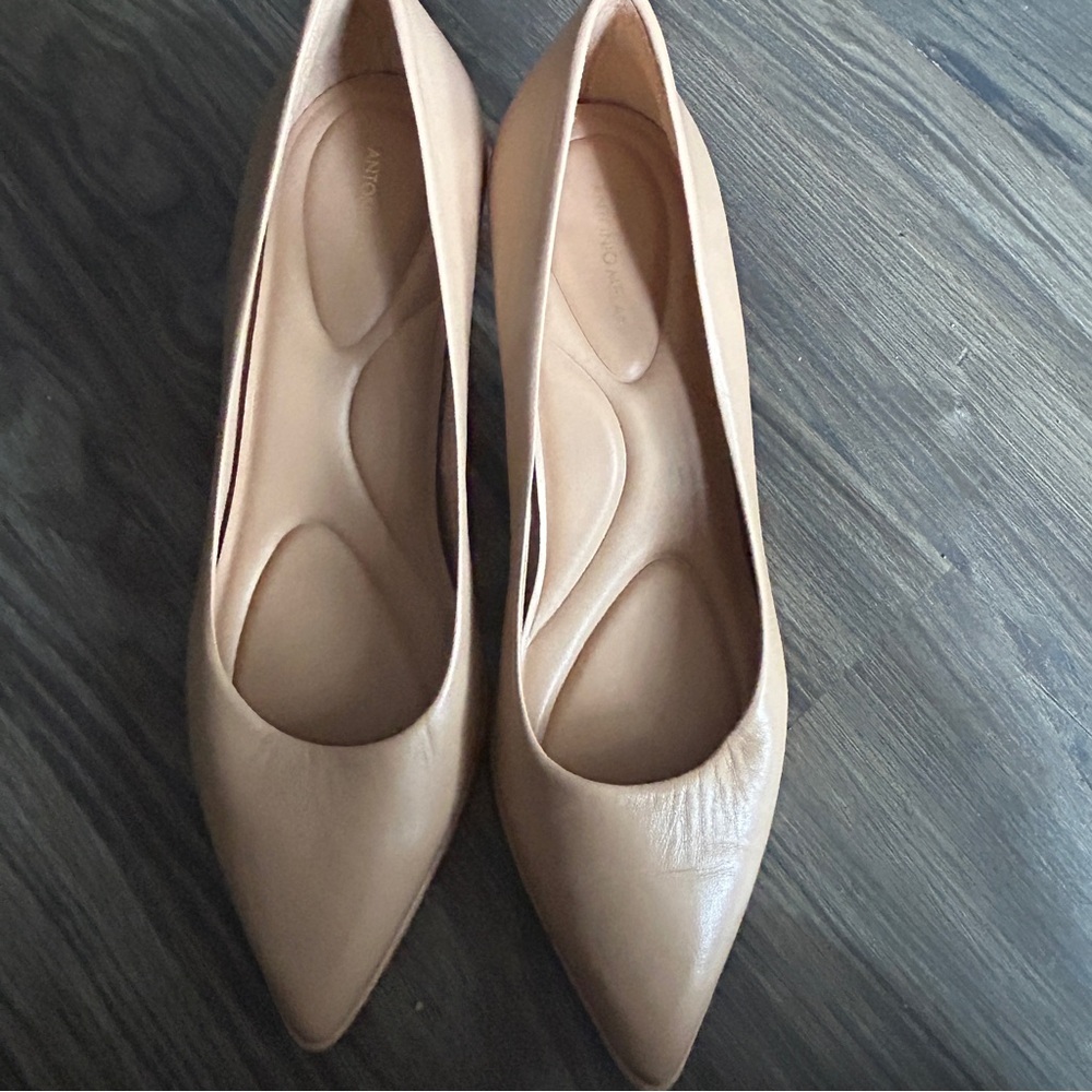 Antonio Melani Kara Pointed Toe Leather Pumps